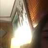 gracefox736